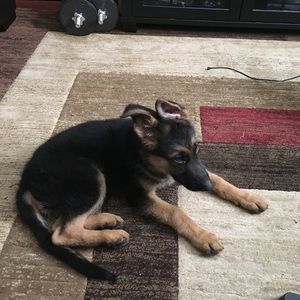 Meet your Posher, Madeline